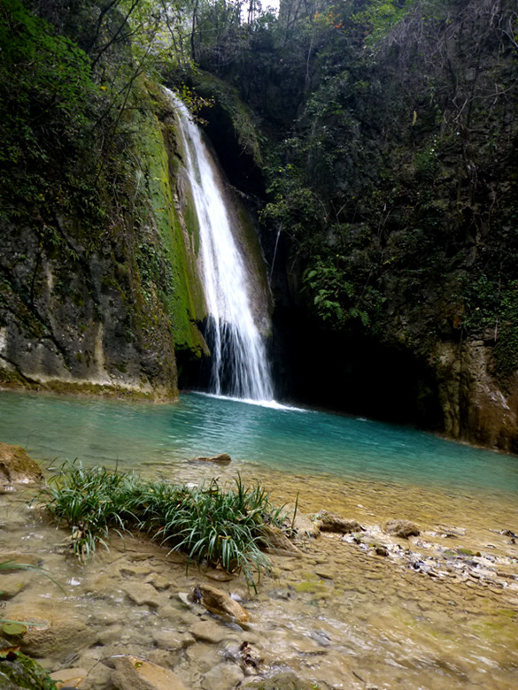 p1080949_.jpg