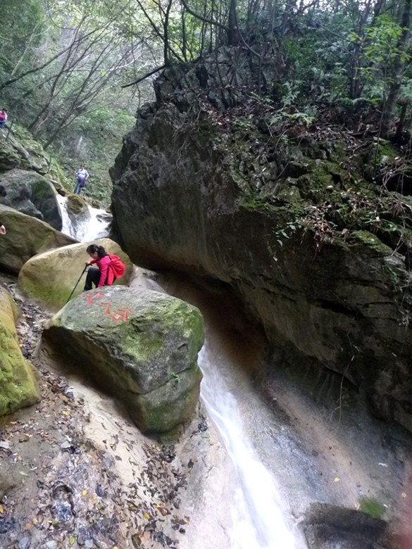 p1080942_.jpg