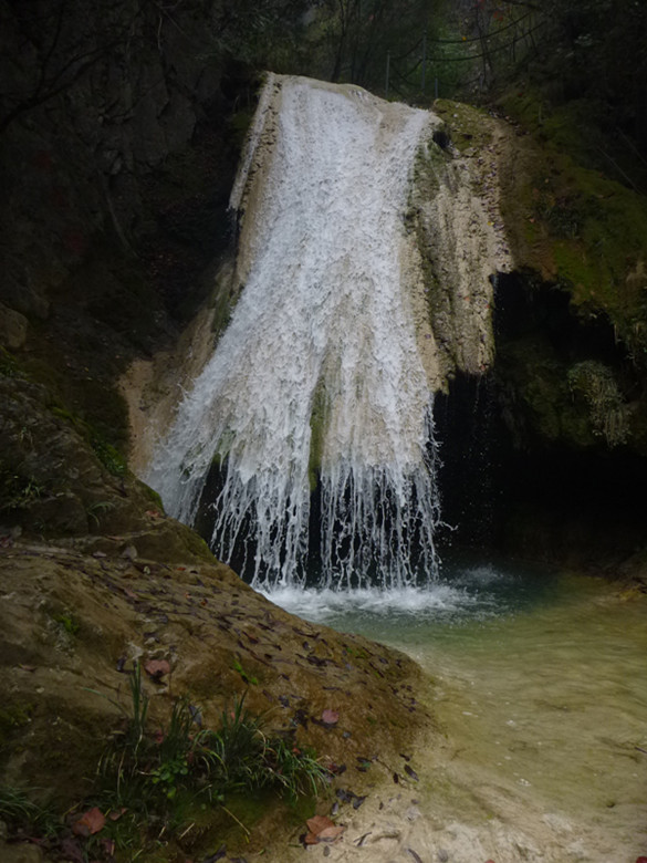p1080958_.jpg