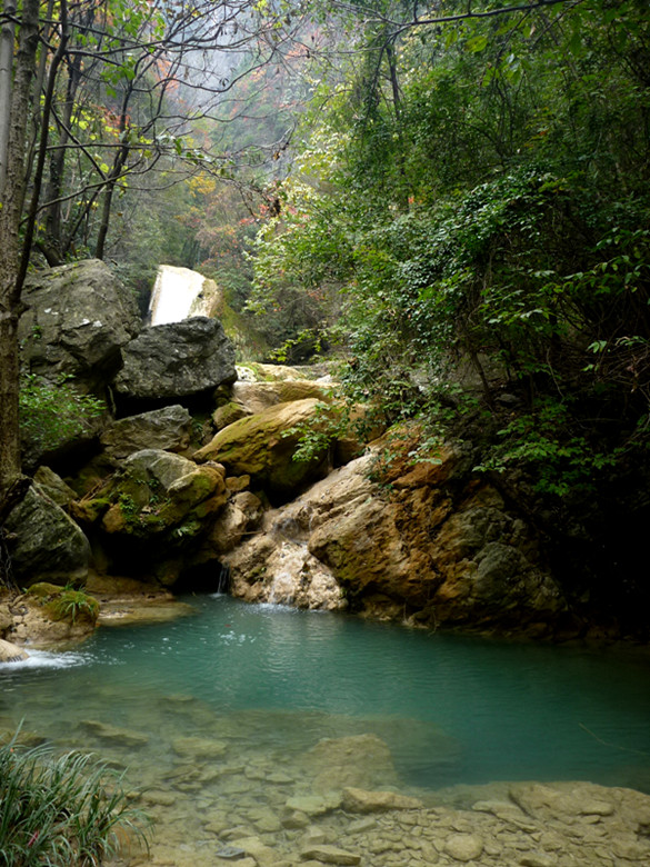 p1080956_.jpg