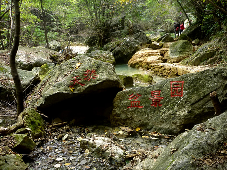 p1080952_.jpg