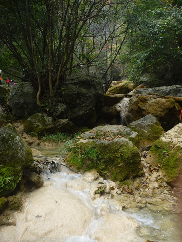 p1080954_.jpg