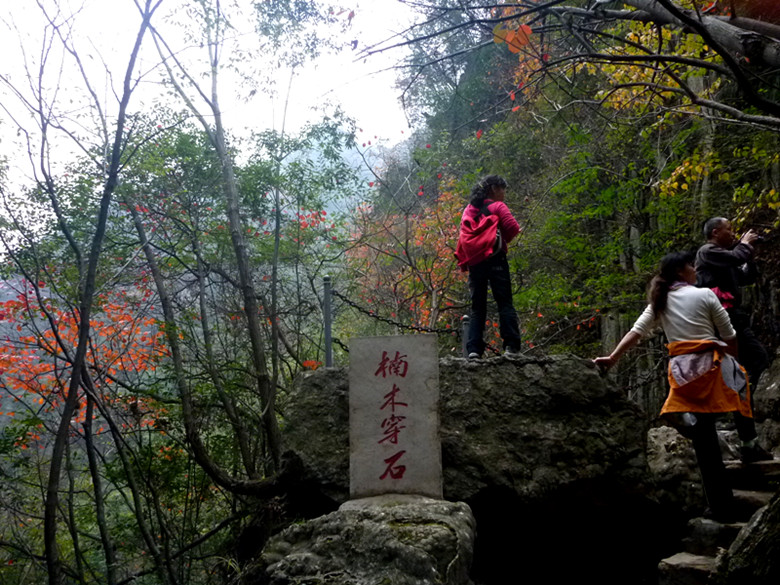 p1080962_.jpg