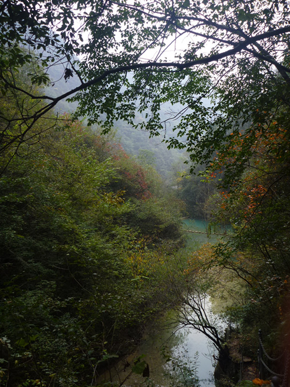 p1080935_.jpg