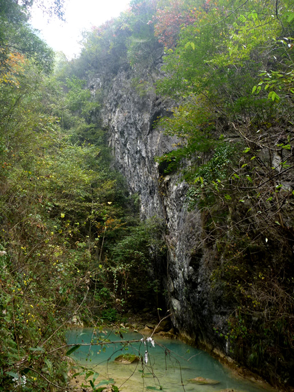 p1080934_.jpg
