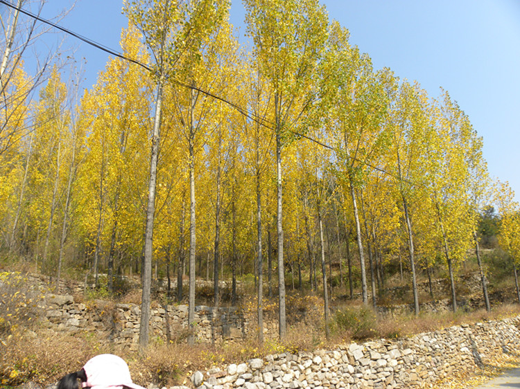 dscn5016_.jpg