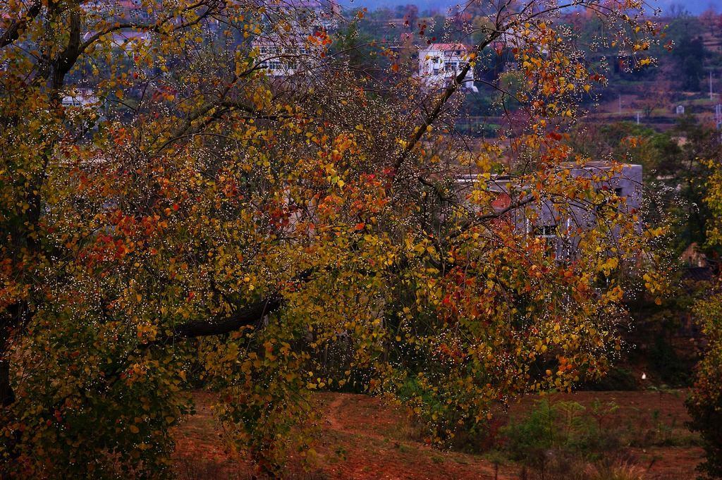 dsc01242.jpg
