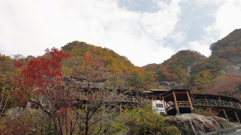 dsc07906.jpg