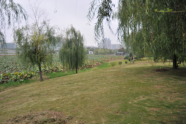 dsc_9568.jpg