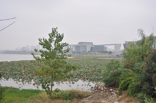 dsc_9564.jpg