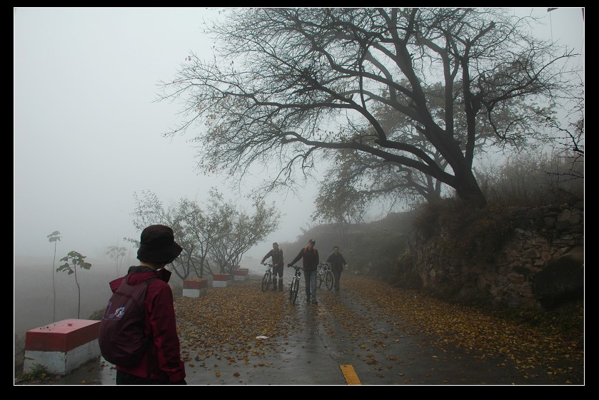 dsc_23590.jpg