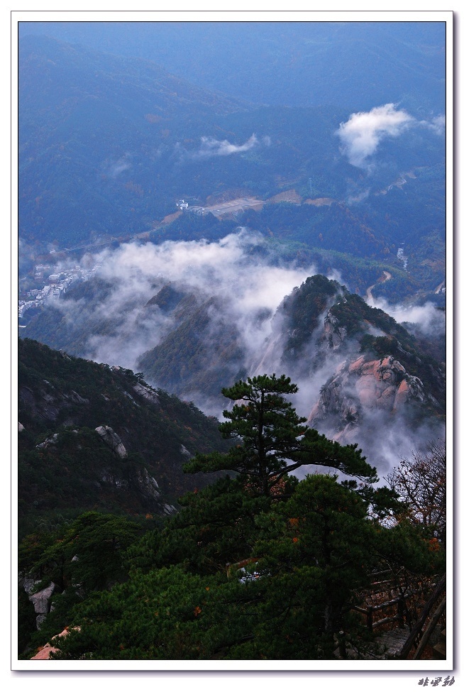 dsc_7708_neo_img.jpg
