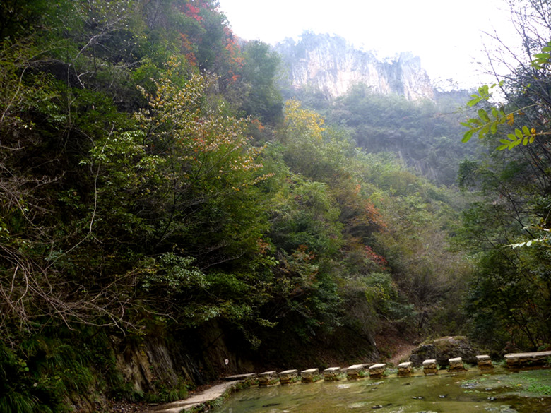 p1080979_.jpg