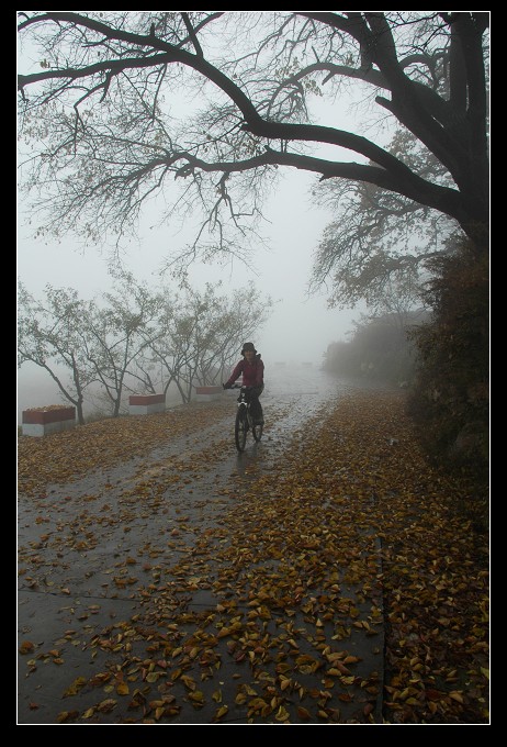 20111172145651913.jpg