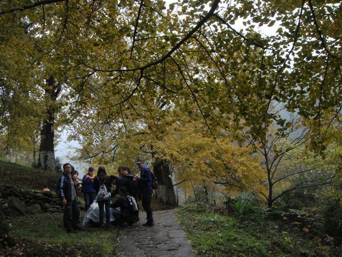dsc04389.jpg
