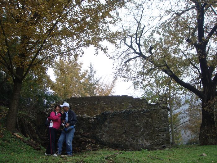 dsc04444.jpg