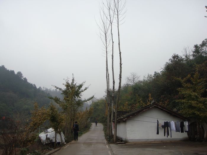 dsc04417.jpg