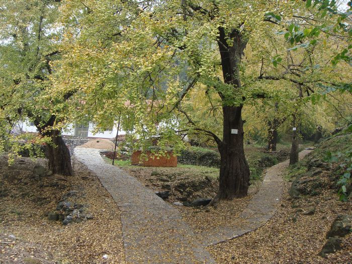 dsc04422.jpg