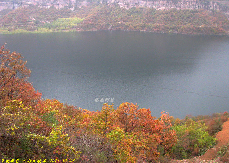 2011ʯҴϿ 2103-1.jpg