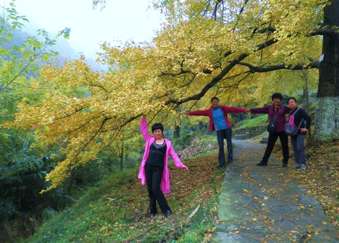 Ǯ1.jpg