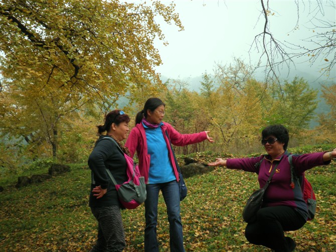 Ǯ2.jpg