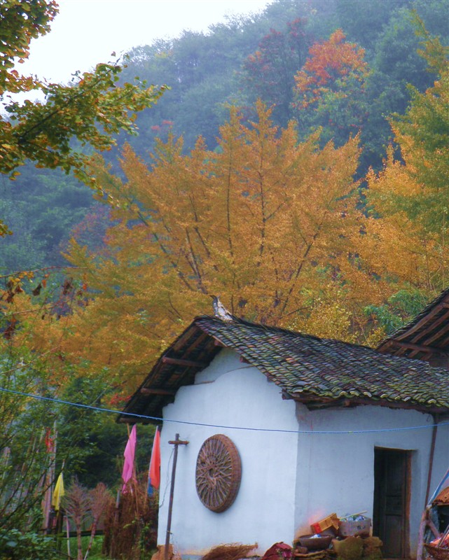 Ǯ15.jpg