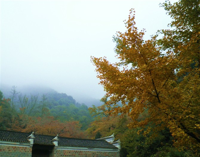 Ǯ7.jpg