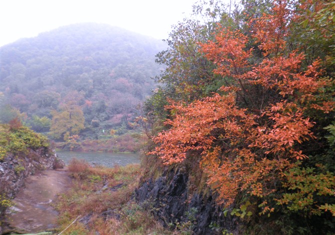 Ǯ12.jpg