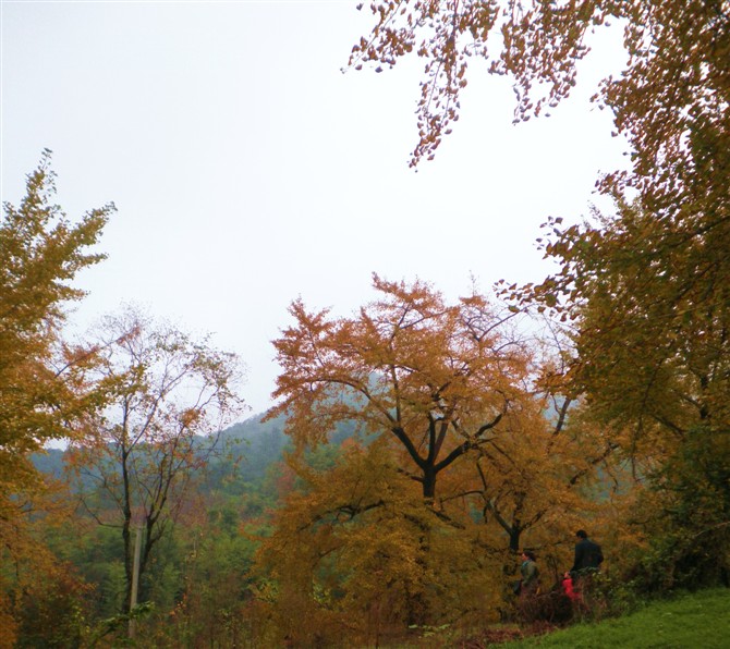 Ǯ10.jpg