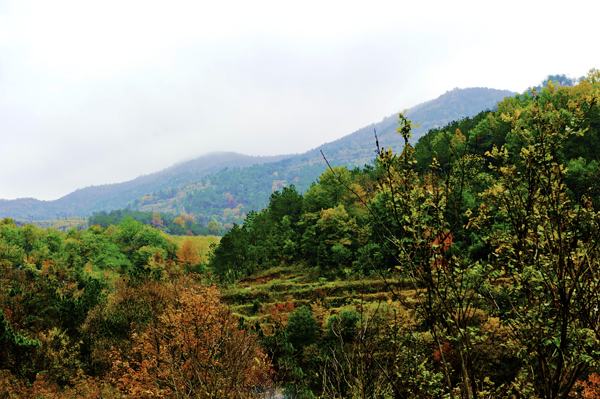 _dsc7681a.jpg