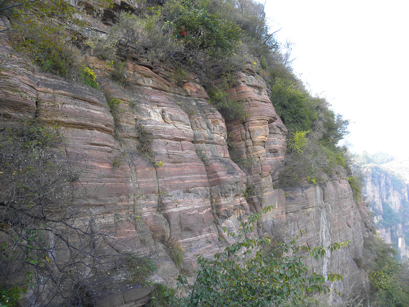 dscn5043_.jpg