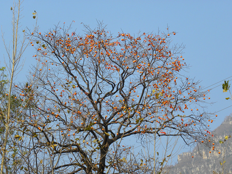 dscn5047_.jpg