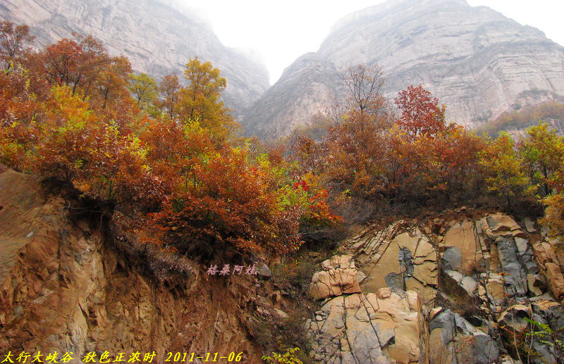2011ʯҴϿ 1865-1.jpg