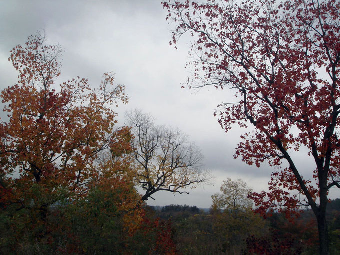 dsc05311.jpg