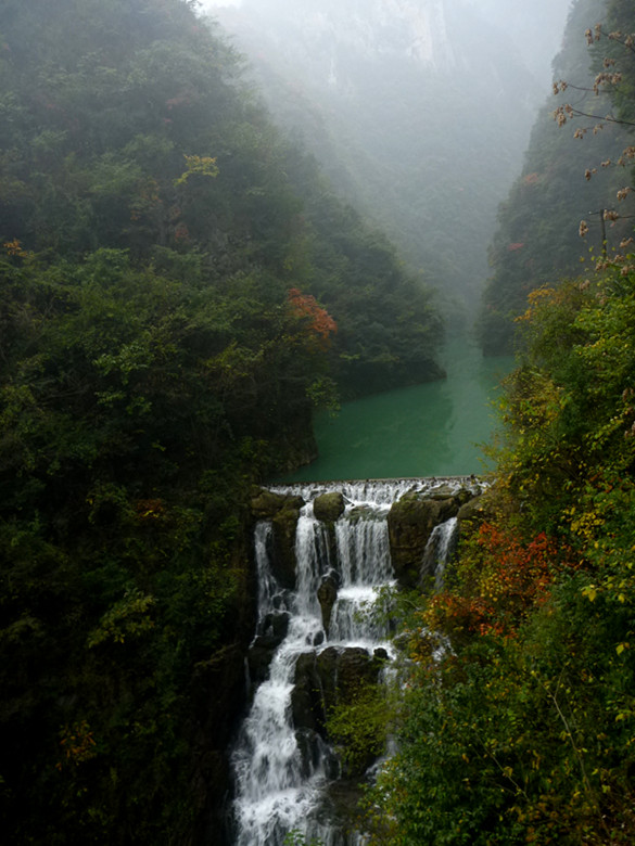 p1090081_.jpg