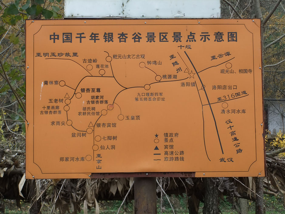 dscf1349.jpg