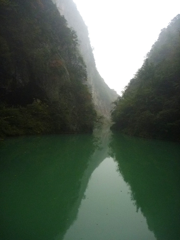 p1090093_.jpg