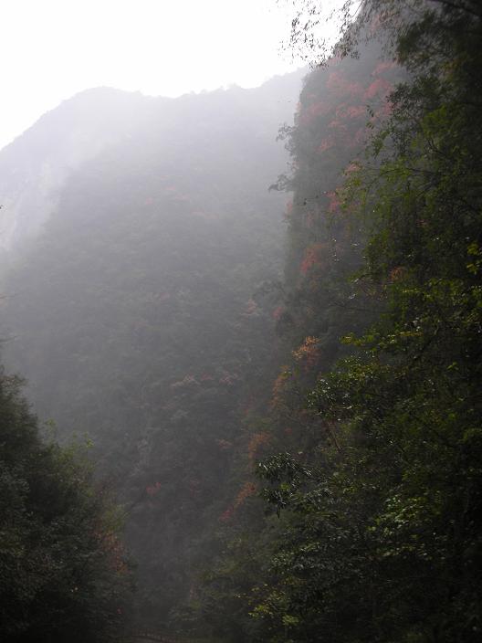 2011差 152.jpg
