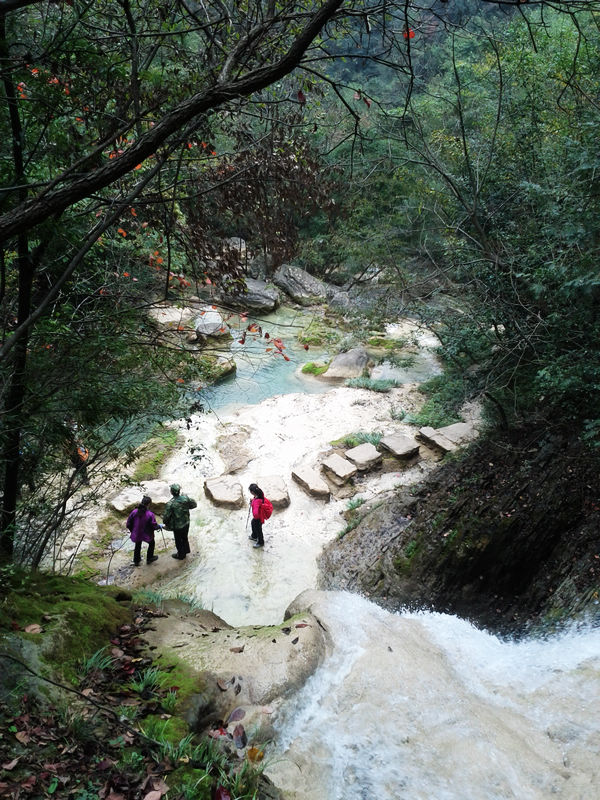 ת img_20111101_110826.jpg