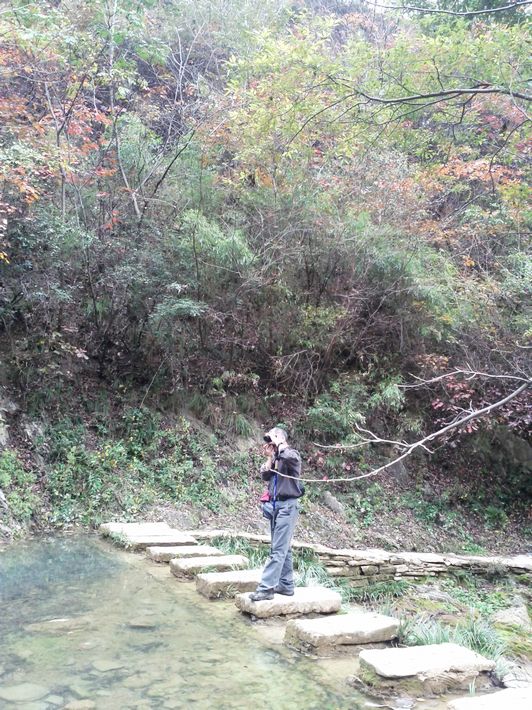 ת img_20111101_113159.jpg
