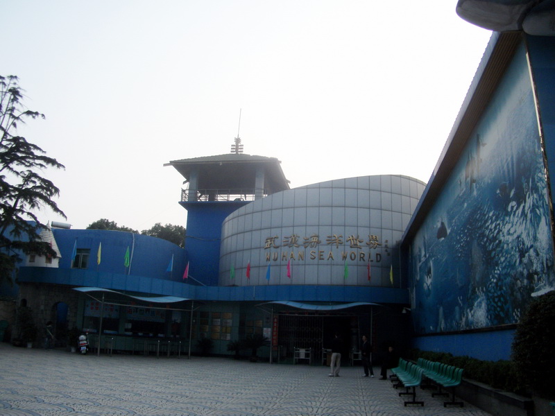 dscf0116.jpg