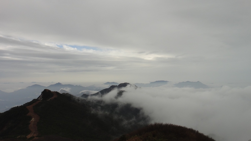 dsc07988.jpg