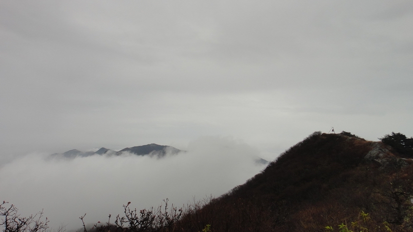dsc07989.jpg