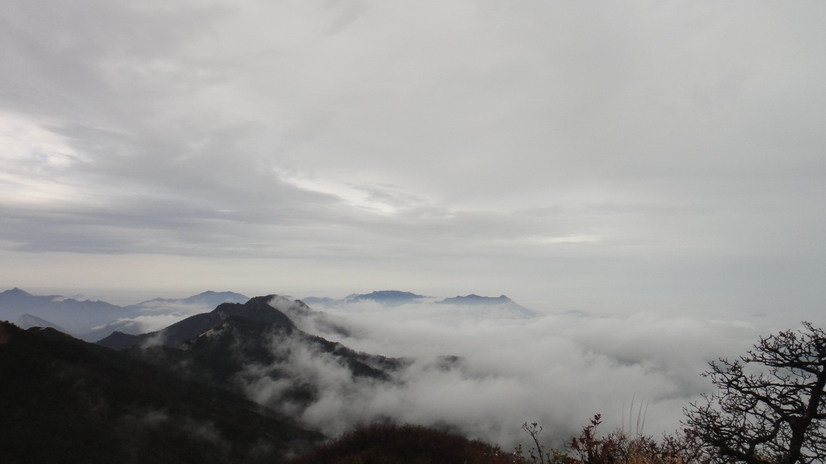 dsc08008.jpg