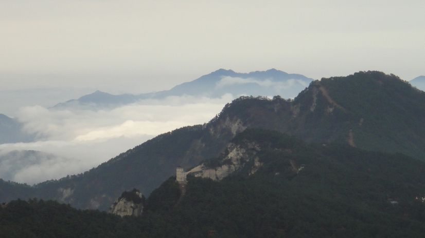 dsc08011.jpg