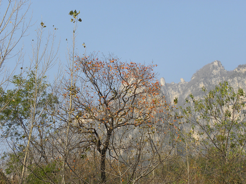 dscn5048_.jpg
