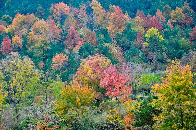 dsc_0067-1.jpg