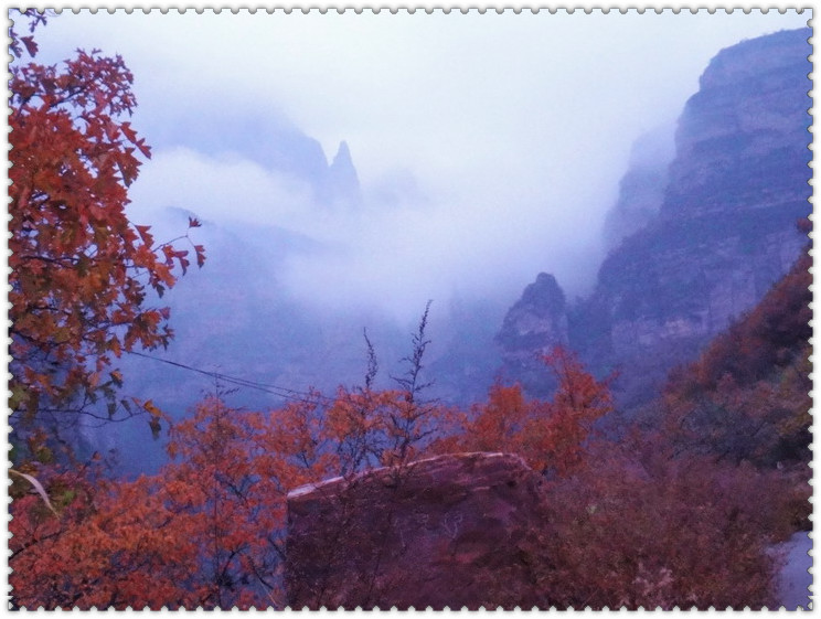 dsc08548_.jpg
