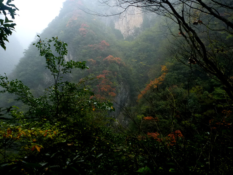 p1090119_.jpg