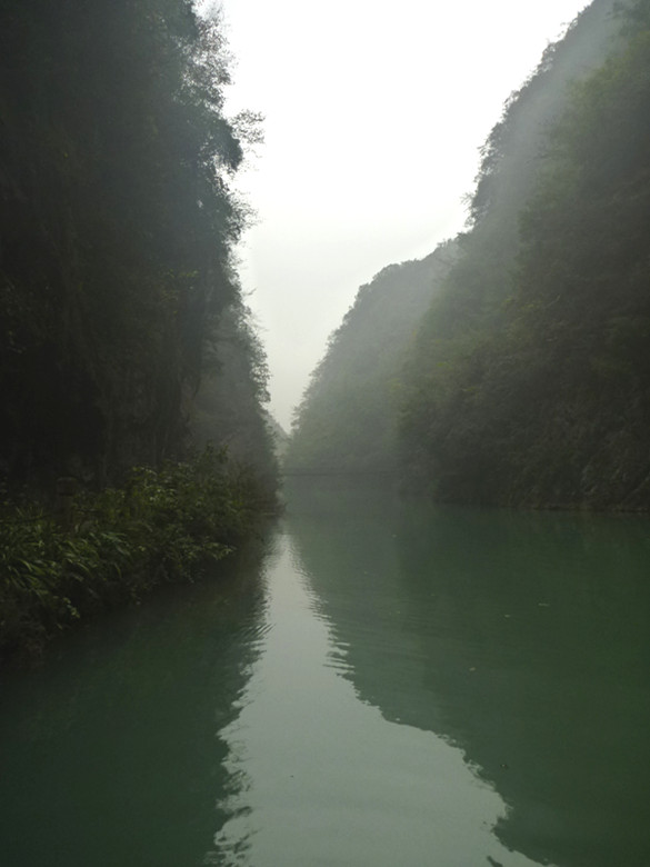 p1090124_.jpg